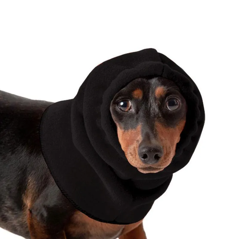 Dachshund Hood