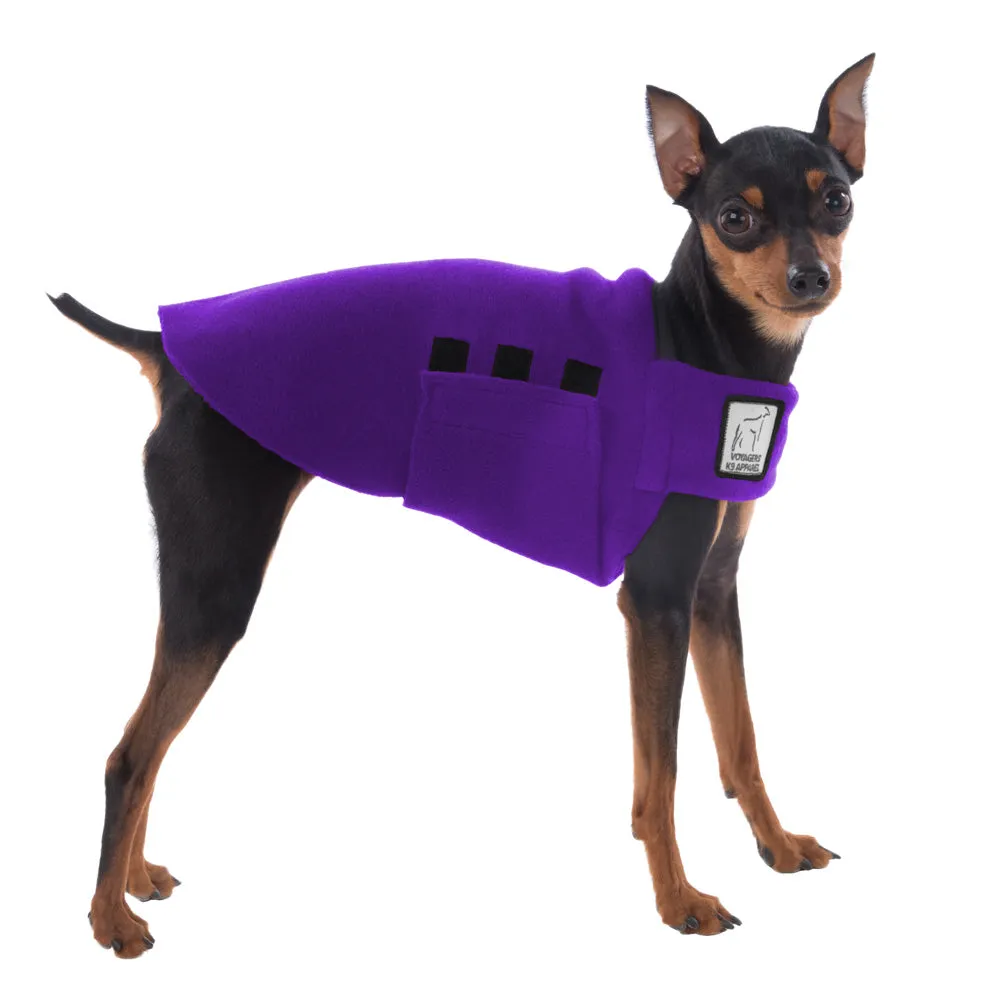 Miniature Pinscher Tummy Warmer