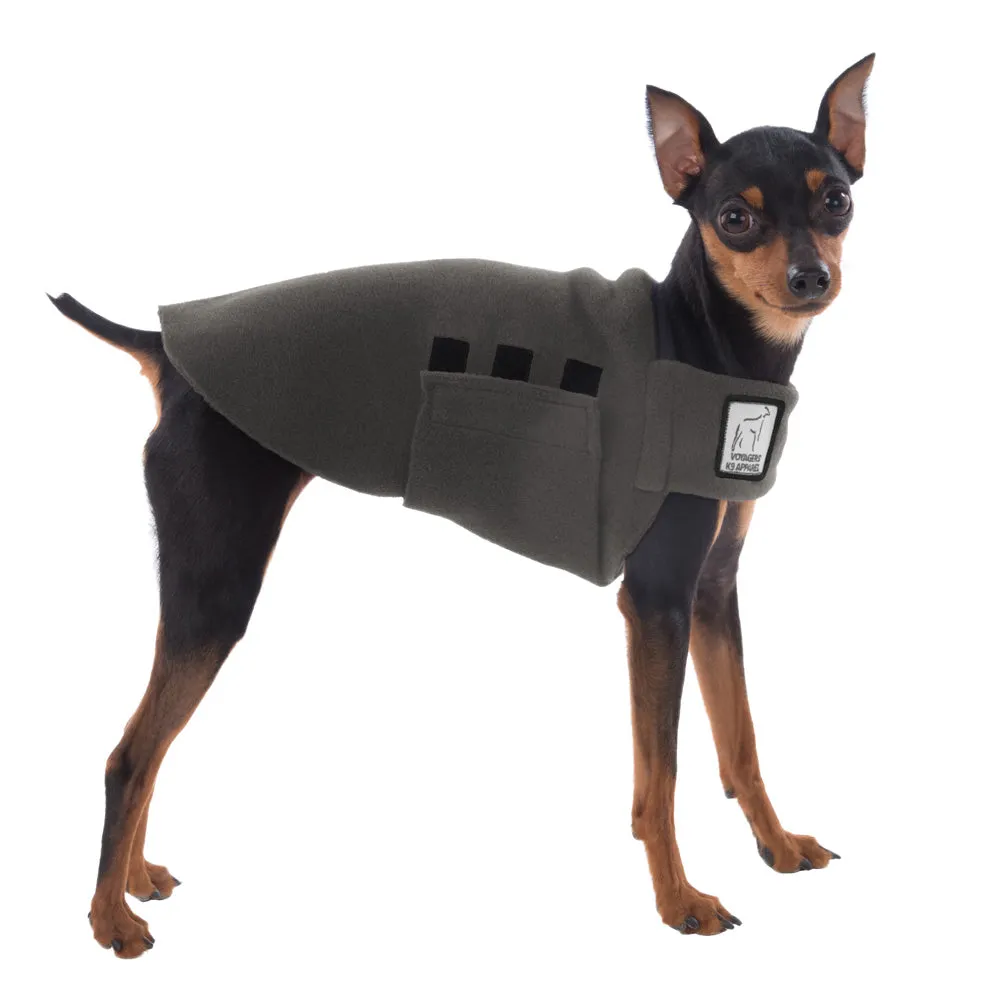 Miniature Pinscher Tummy Warmer