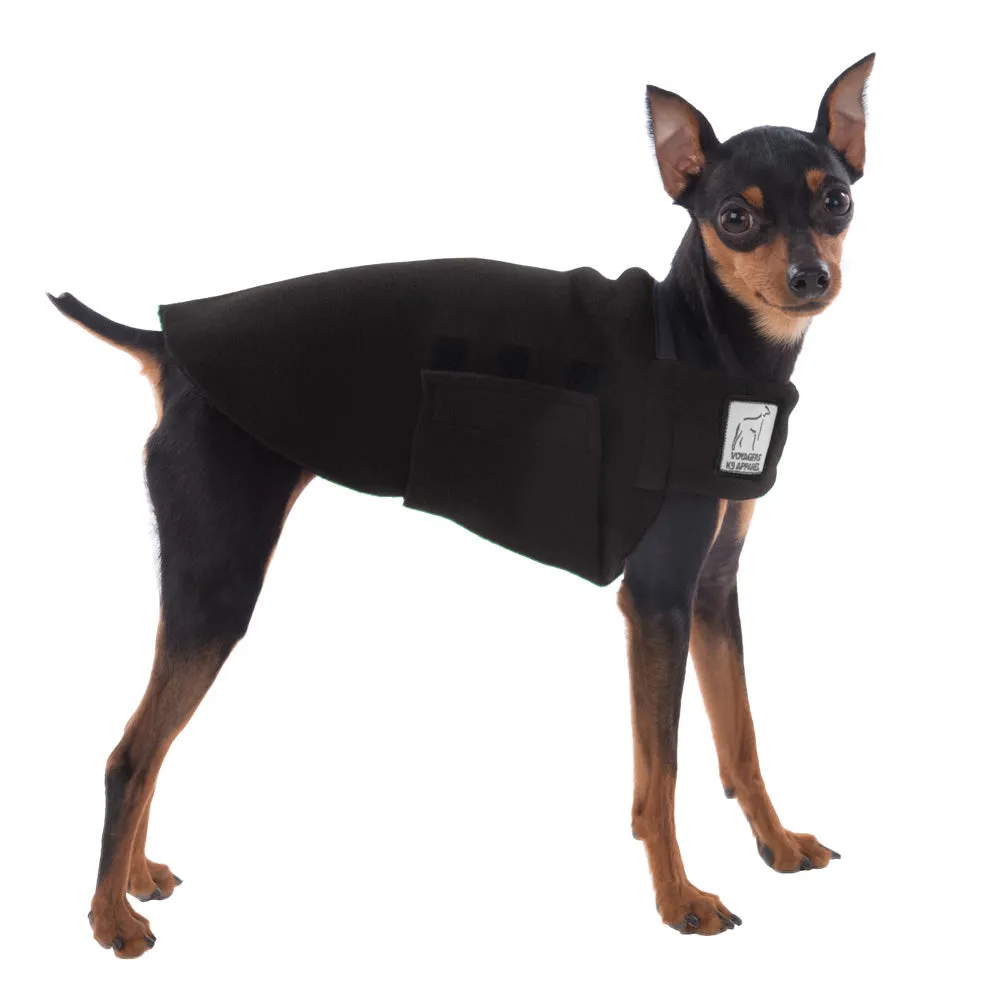 Miniature Pinscher Tummy Warmer