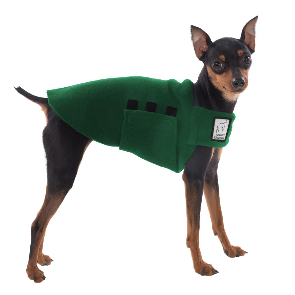 Miniature Pinscher Tummy Warmer