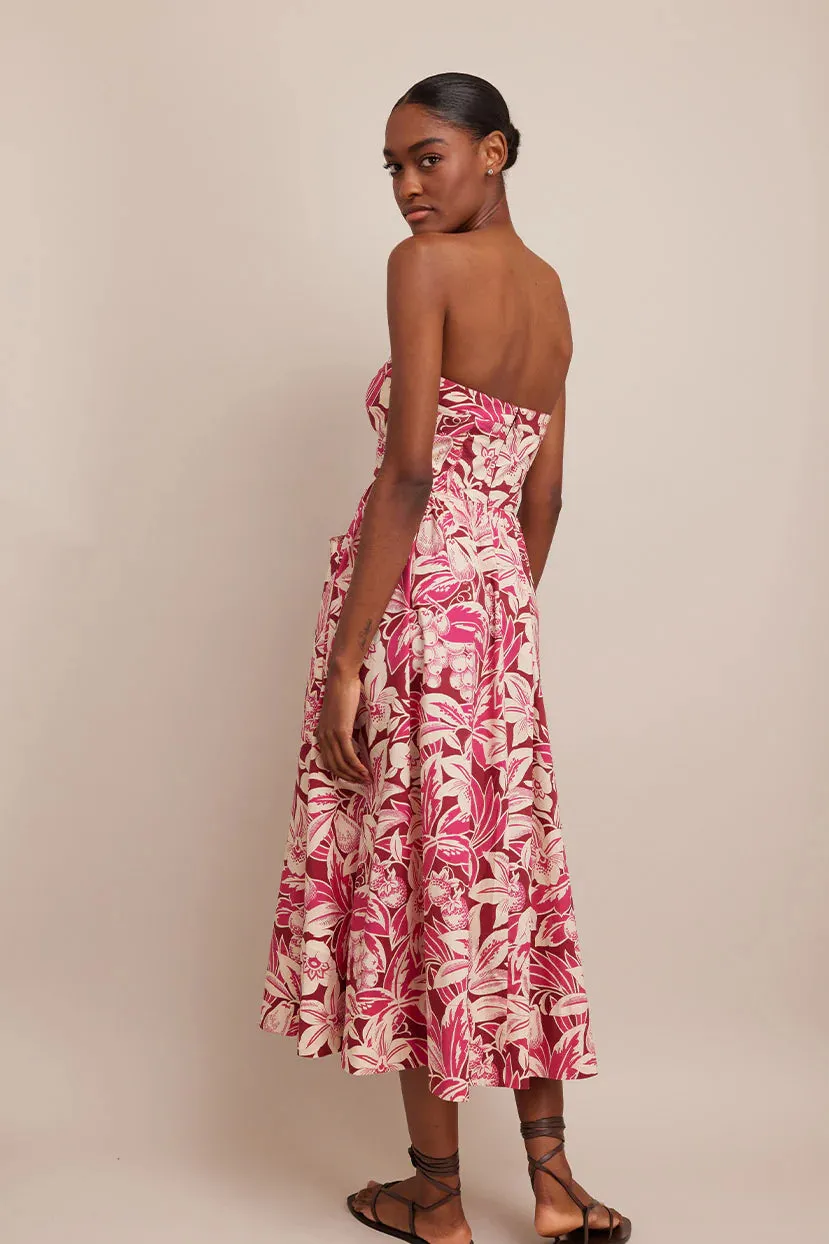 Nicola Midi Dress in Tropical Harvest Pink