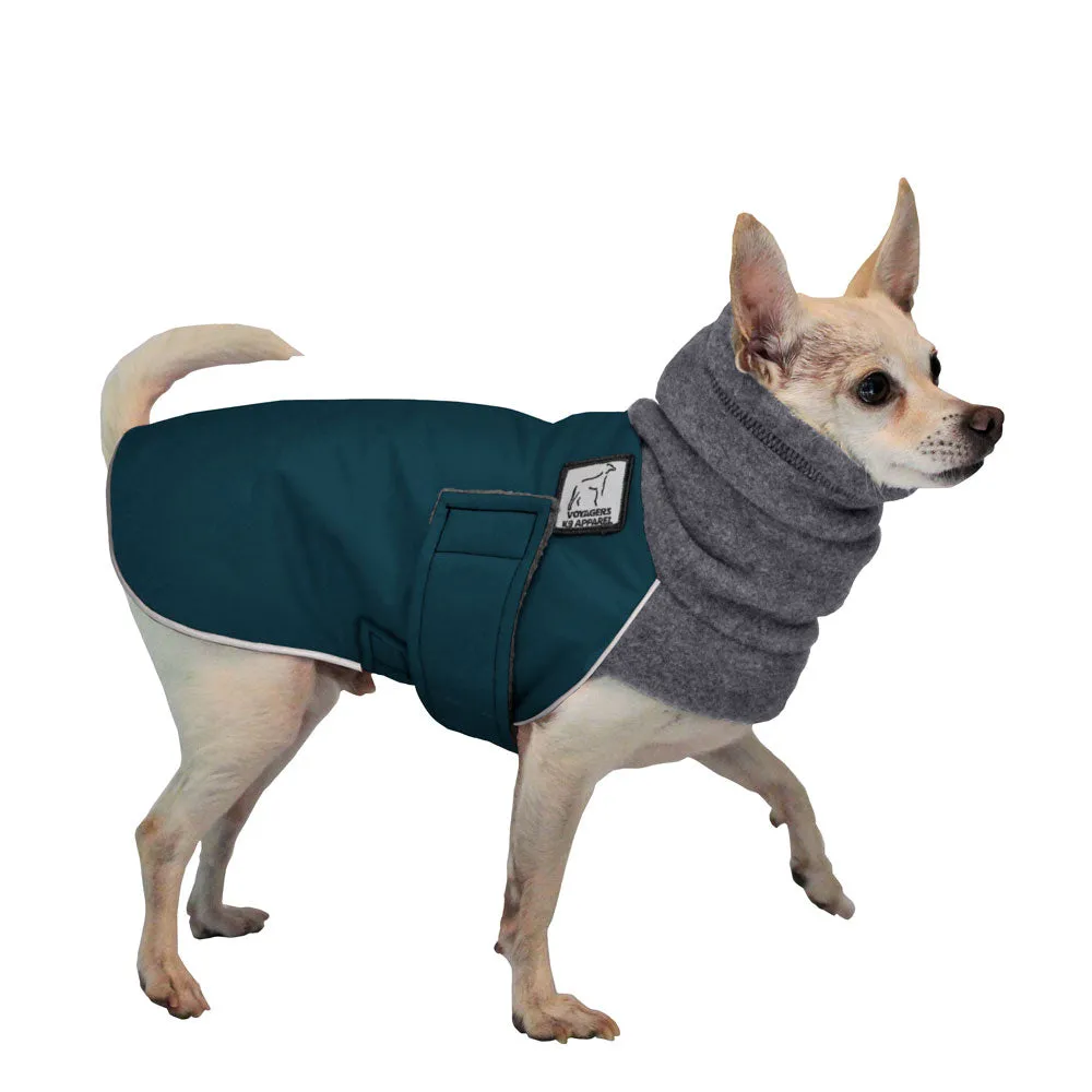 ReCoat ♻️ Chihuahua Winter Coat with Harness Opening