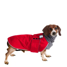 ReCoat ♻️ Miniature Dachshund Winter Coat with Harness Opening