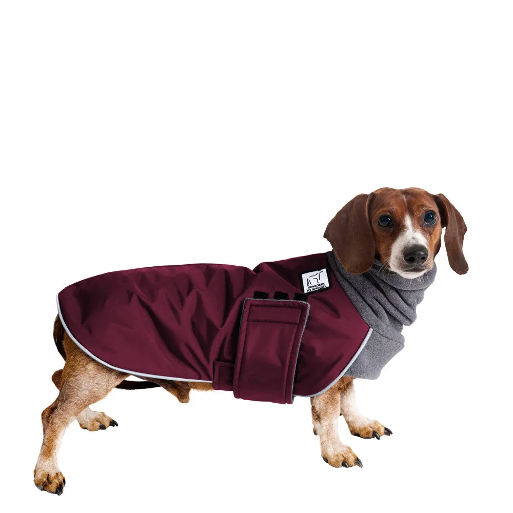 ReCoat ♻️ Miniature Dachshund Winter Coat with Harness Opening